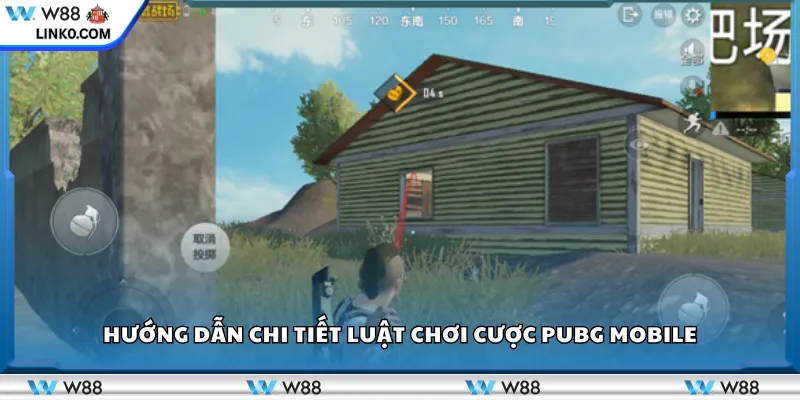 Hướng dẫn chi tiết luật chơi cược PUBG Mobile