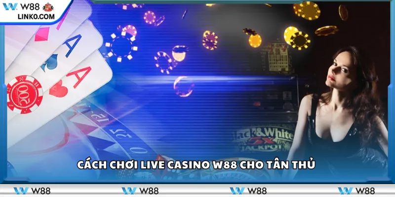 Cách chơi Live Casino W88 cho tân thủ 