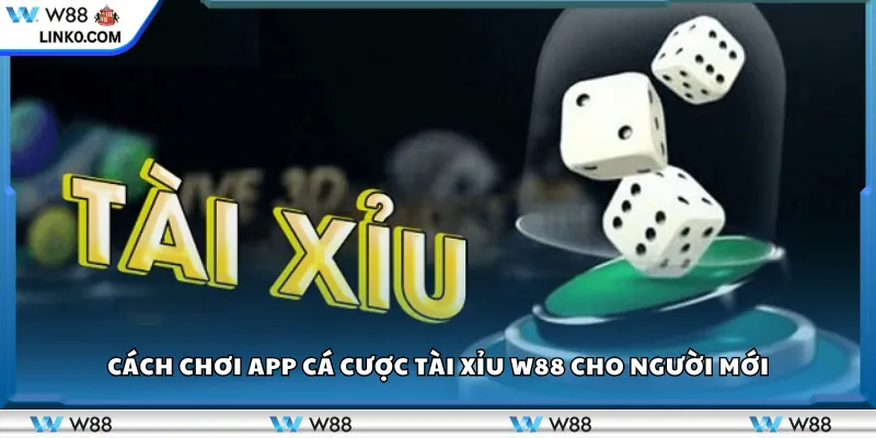 Cách chơi app cá cược Tài Xỉu W88 cho người mới