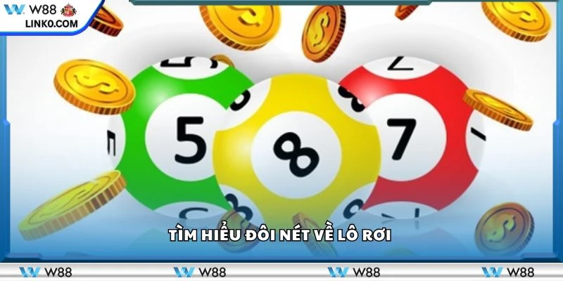 Tìm hiểu đôi nét về lô rơi 